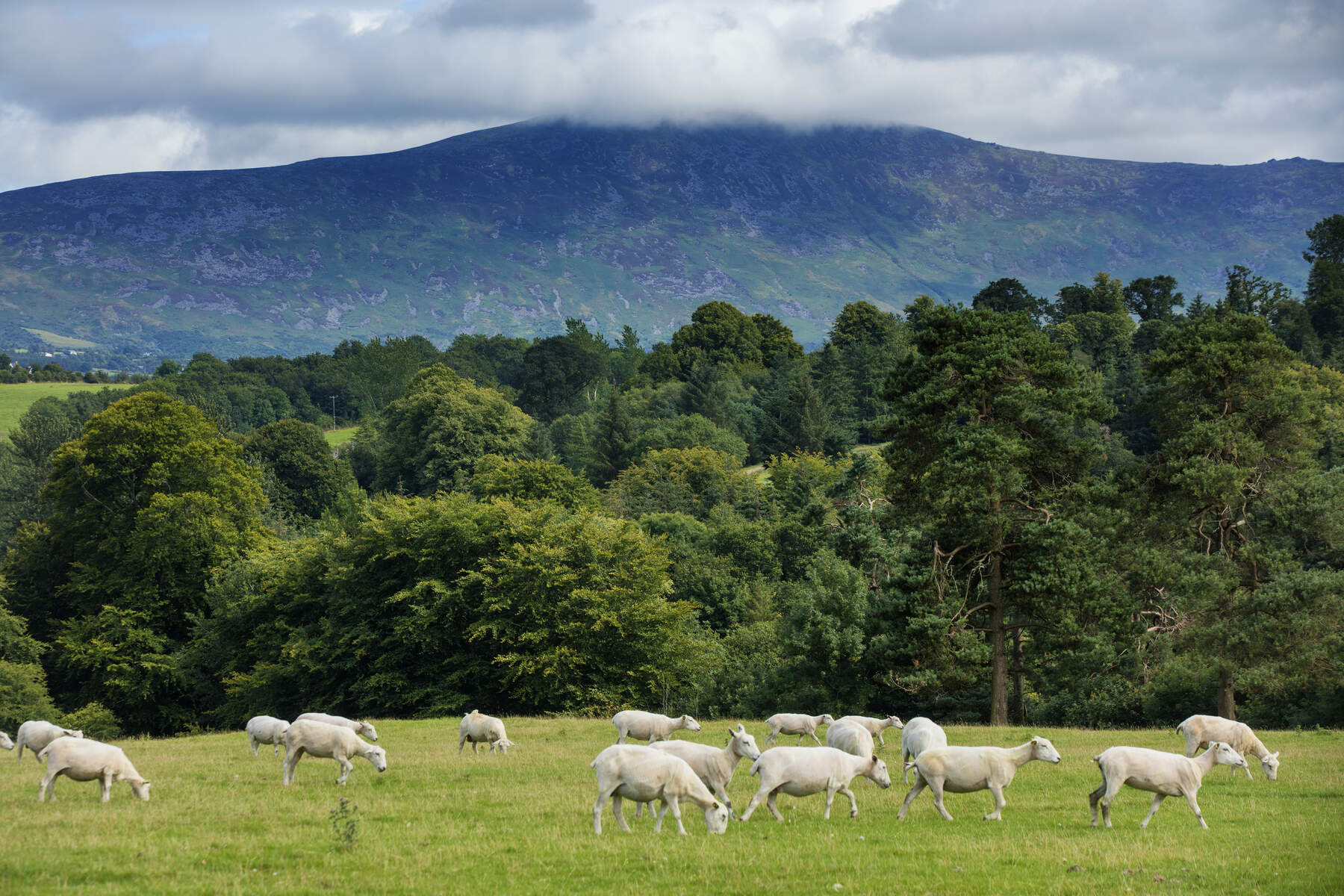 Blackstairs Mountains, Co Carlow