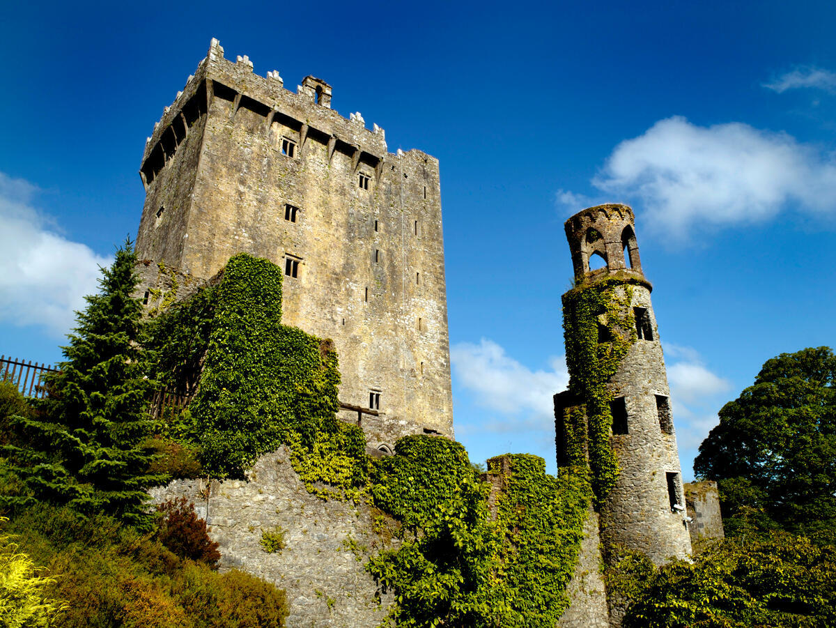 Blarney Castle and Gardens, Blarney, Co Cork.