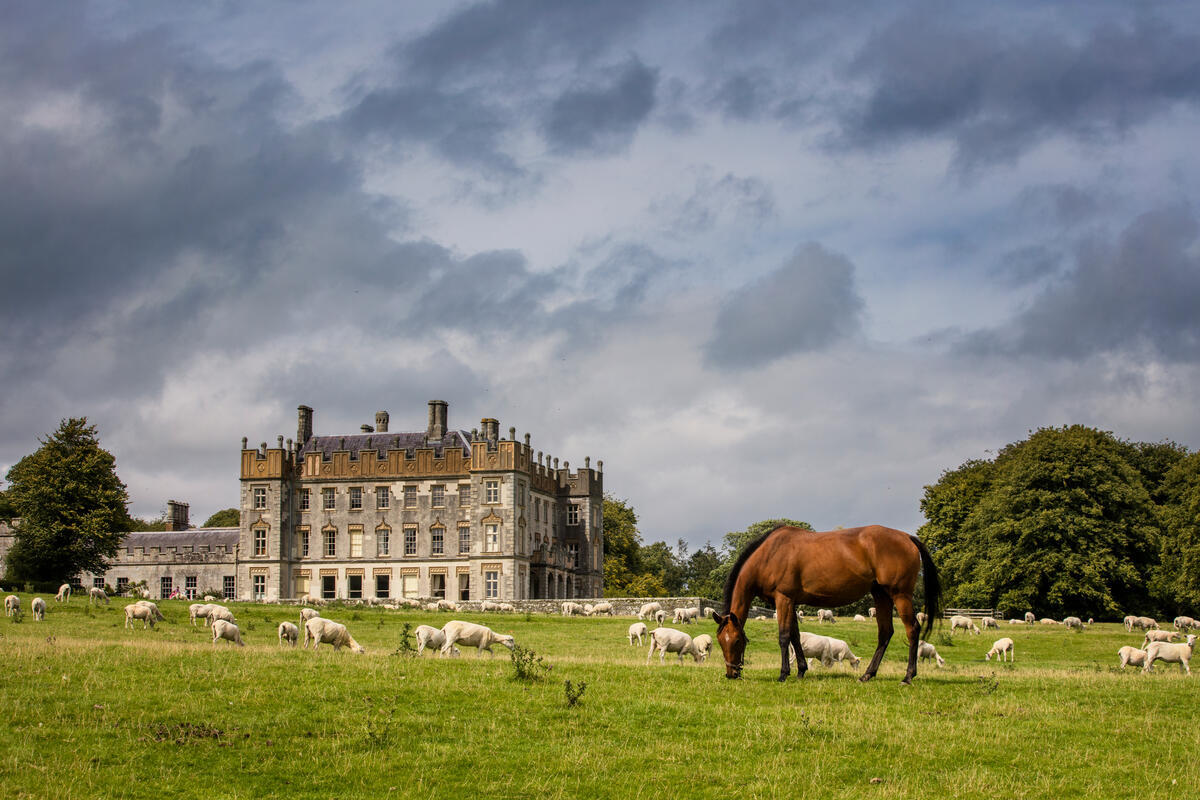 Borris House, Borris, Co Carlow