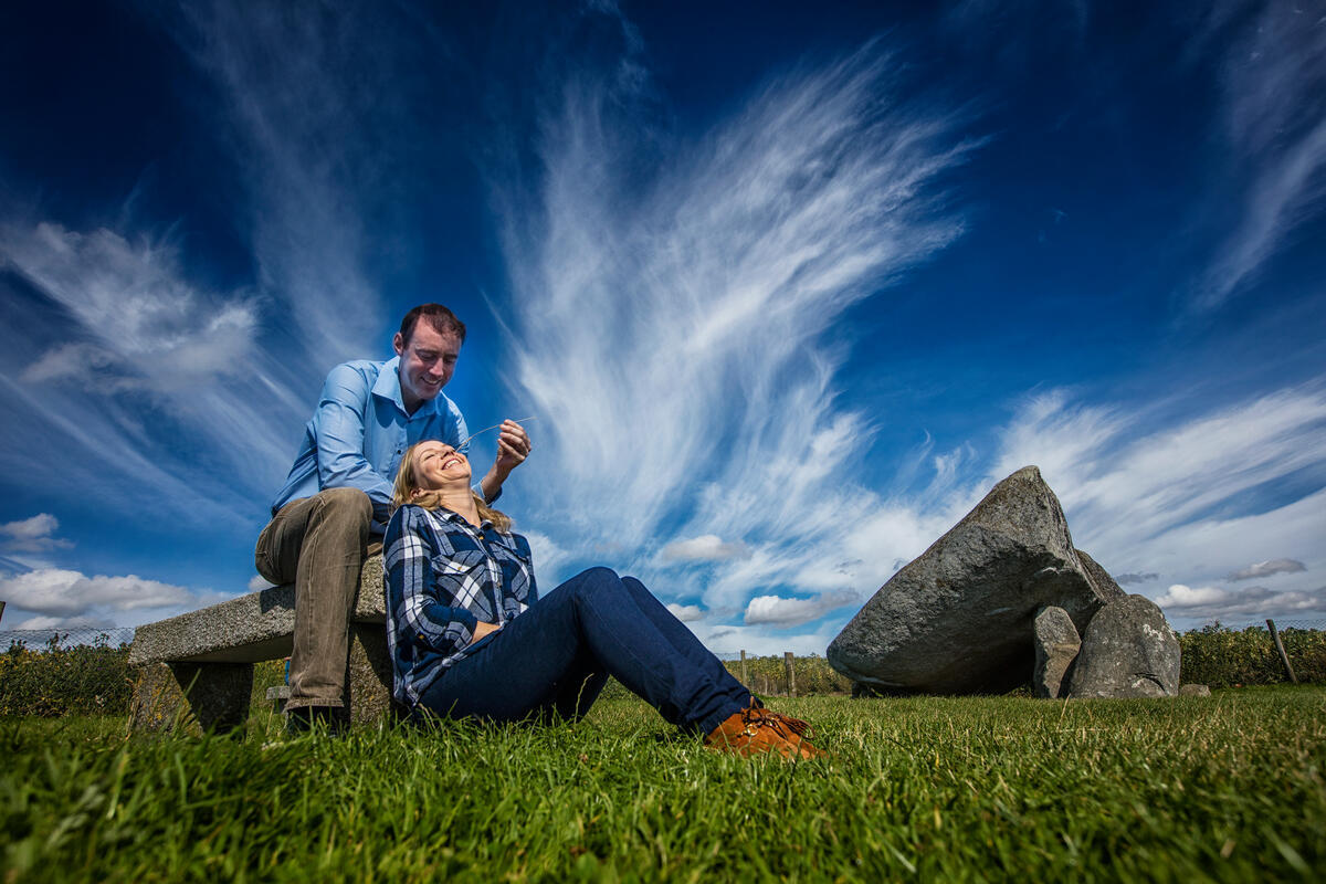 Brownshill Portal Dolmen, Co Carlow