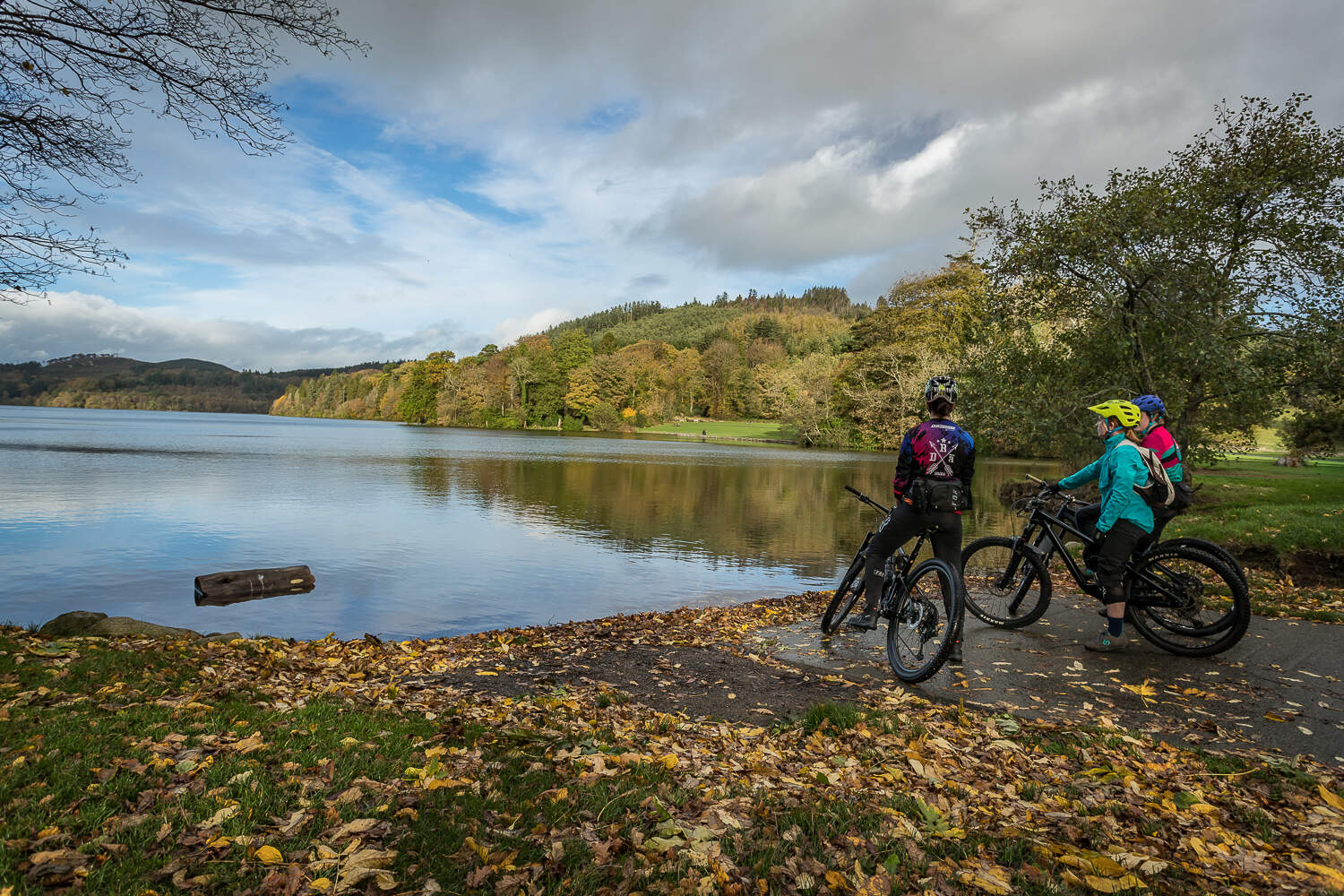 Castlewellan Mountain Bike Trails, Co. Down