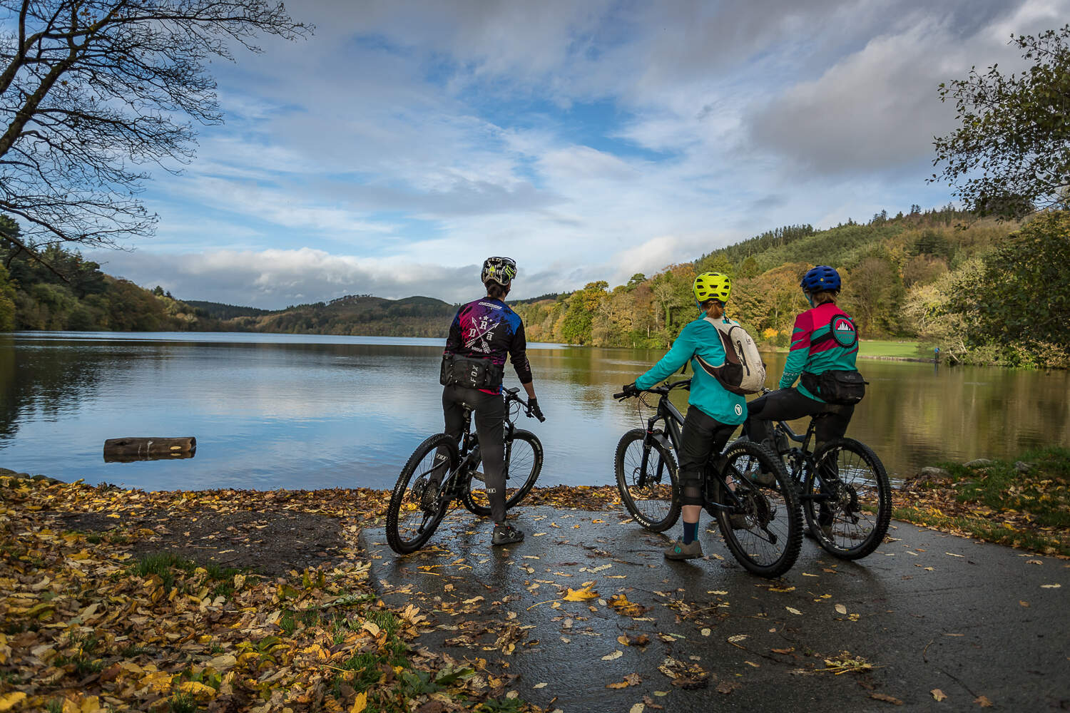 Castlewellan Mountain Bike Trails, Co. Down