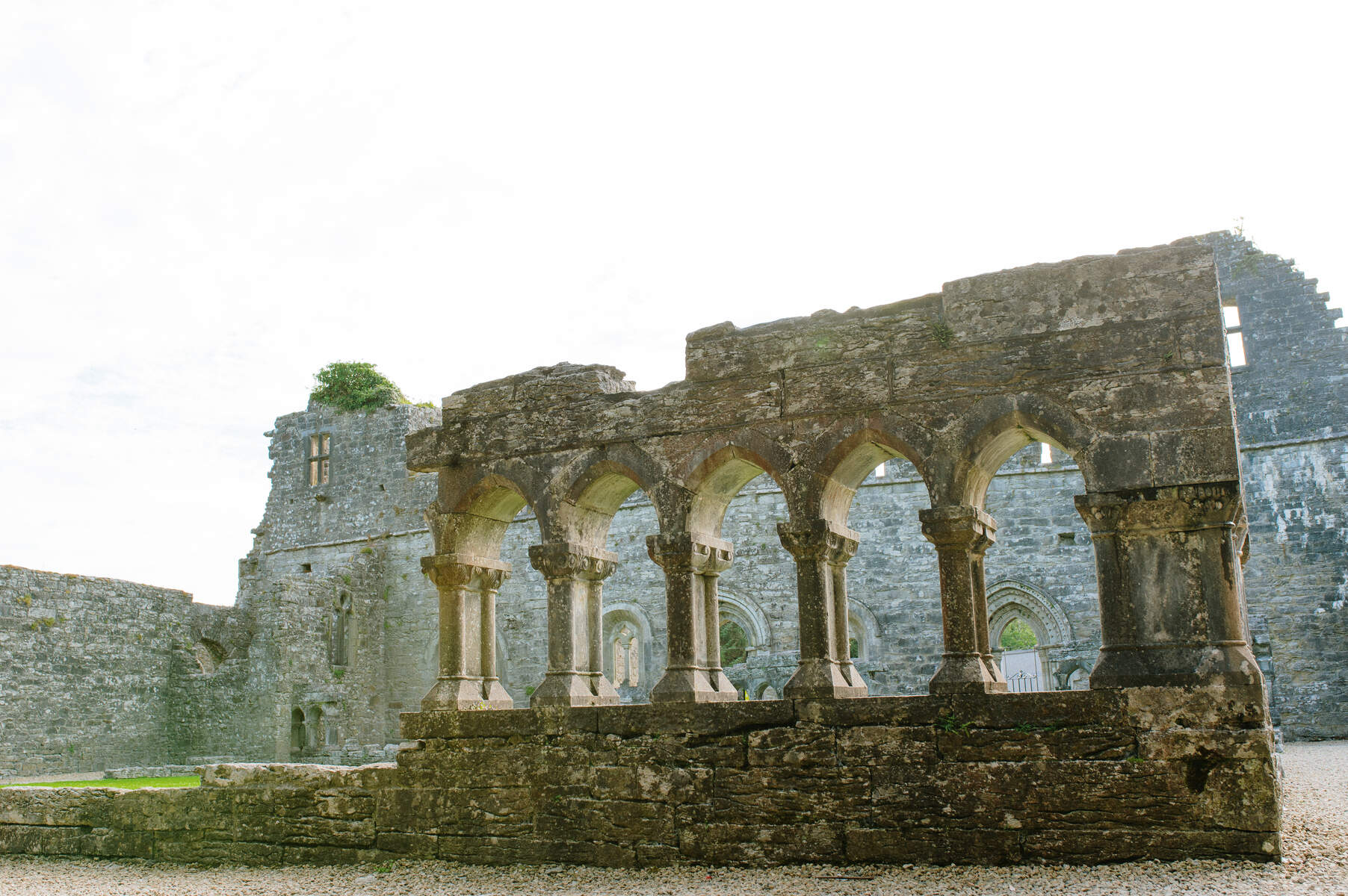 Cong Abbey, Co Mayo