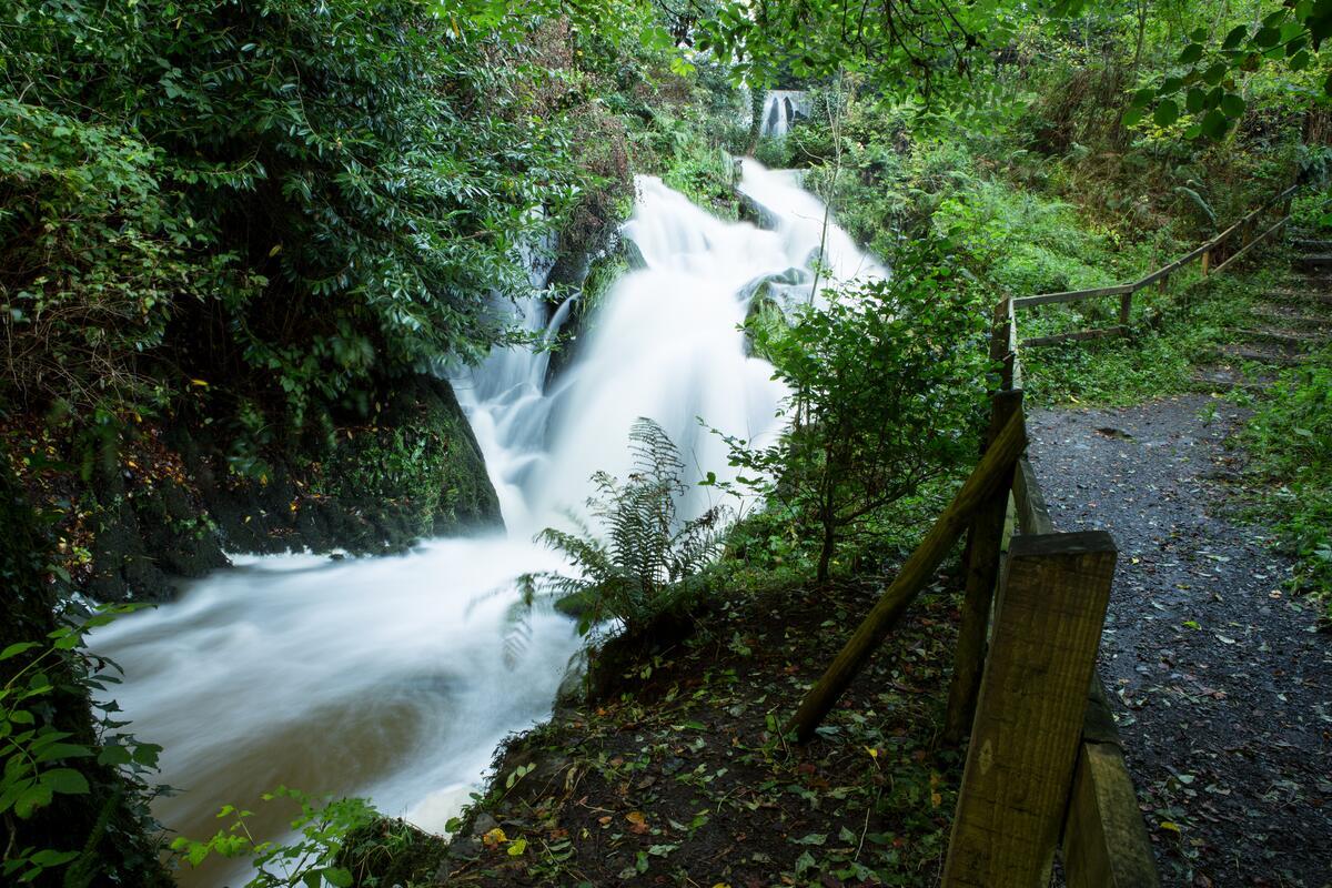 Crawfordsburn Village and Country Park