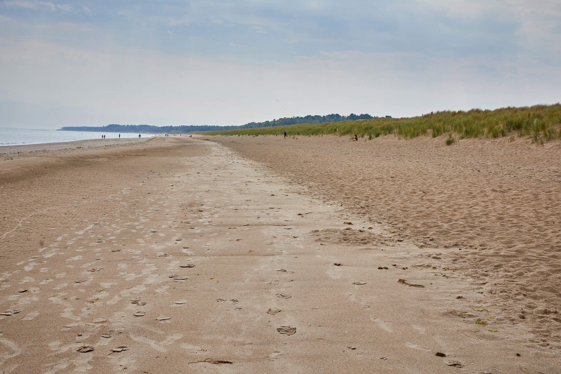 Curracloe beach, Co Wexford