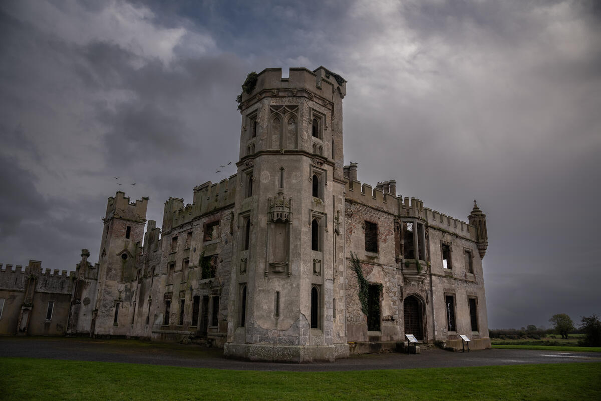 Duckett's Grove, Co Carlow