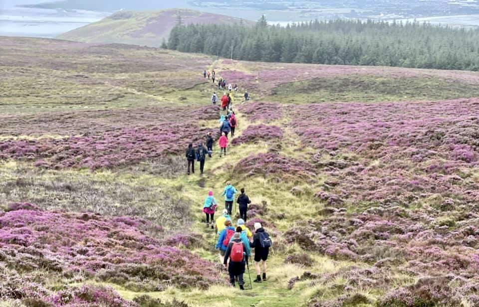Hiking, Cooley Mountains, Co Louth