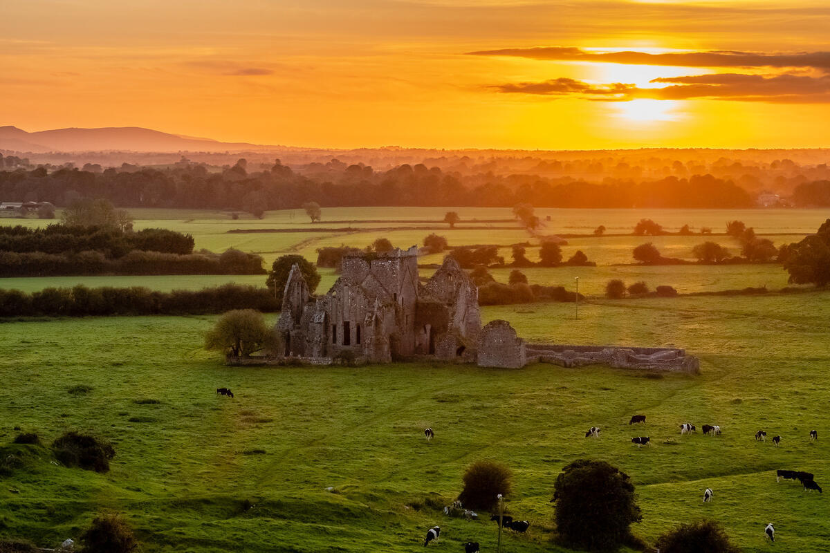 Hore Abbey, Cashel, Co, Tipperary