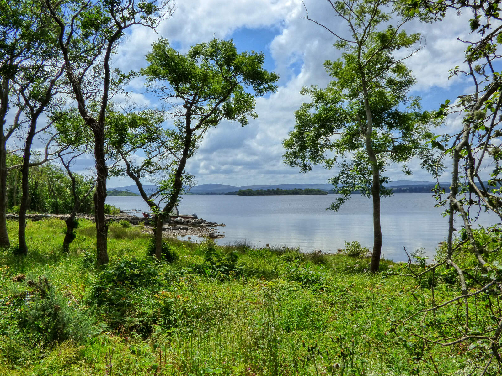 Inchagoill Island, Lough Corrib, Co Galway