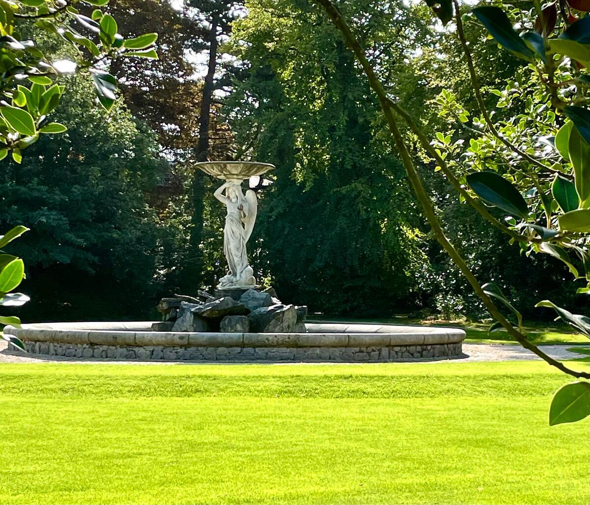 Iveagh Gardens, Dublin City