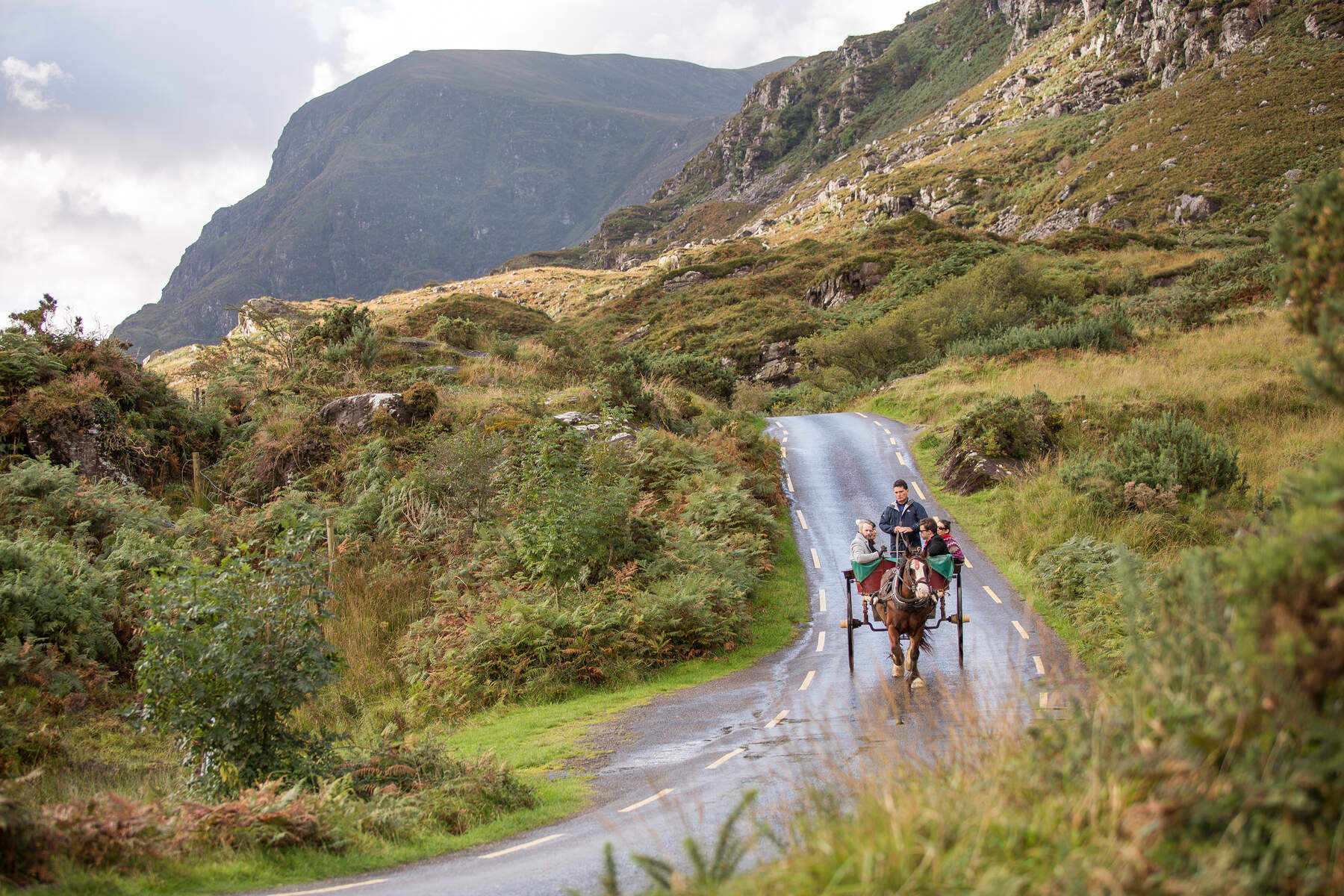 Jaunting car tour, Killarney National Park, Co Kerry