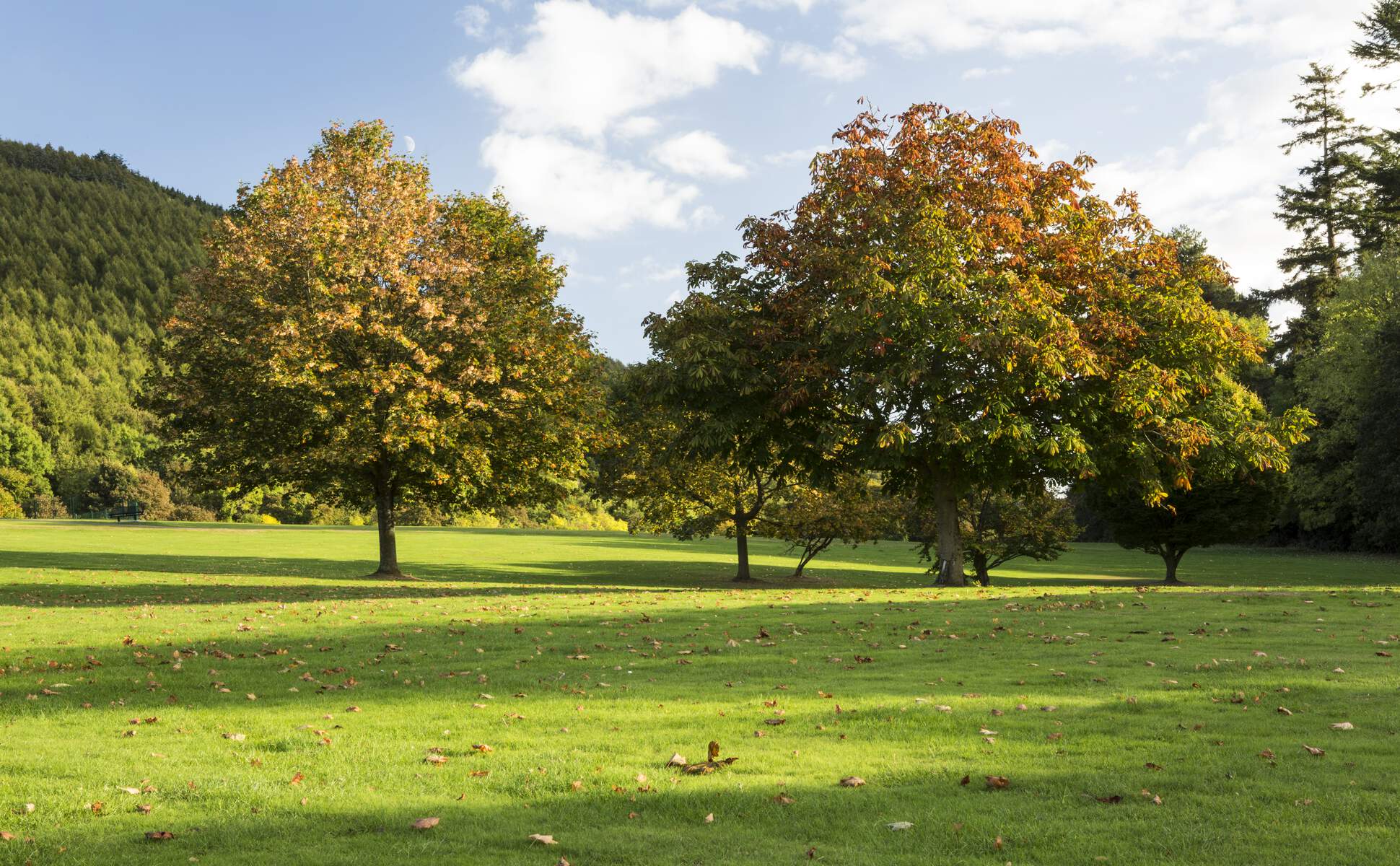 Kilbroney Park, Rostrevor, Co. Down
