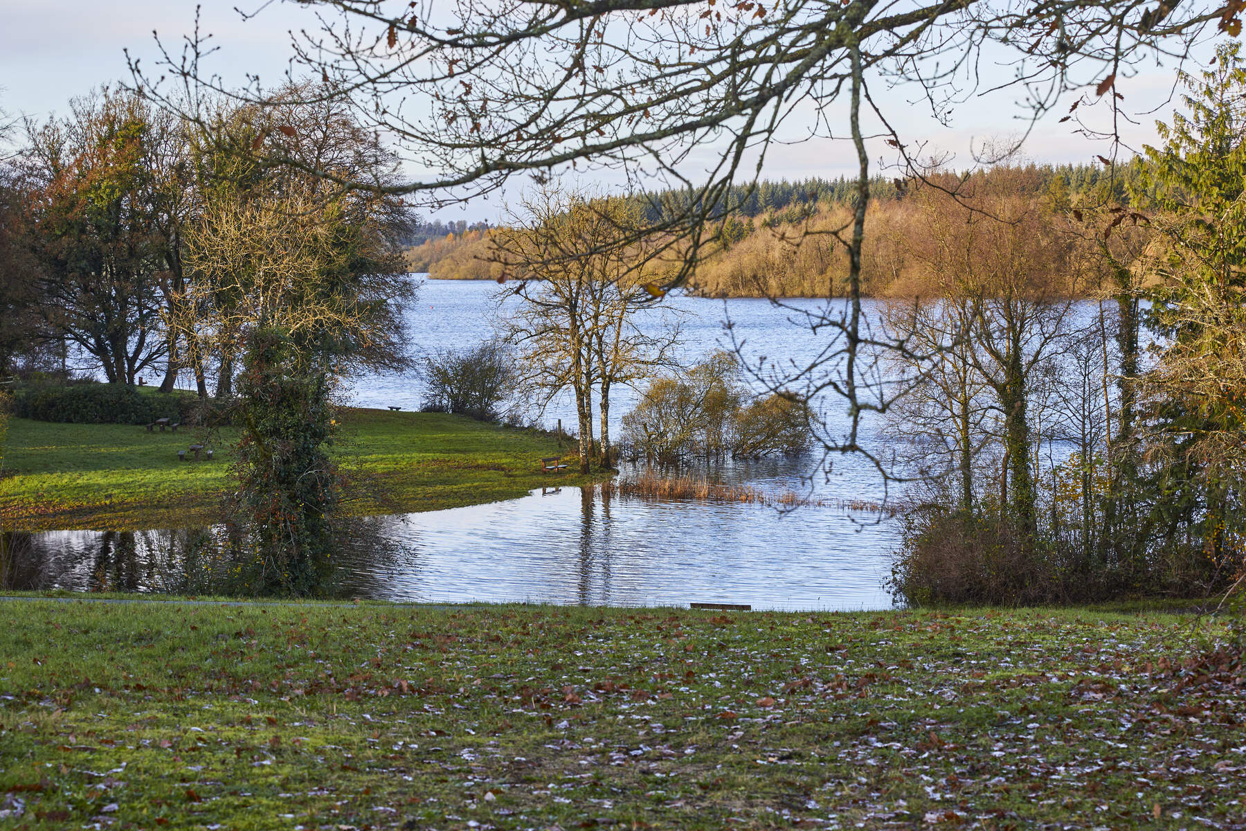 Killykeen Forest Park, Co Cavan_Find your trail