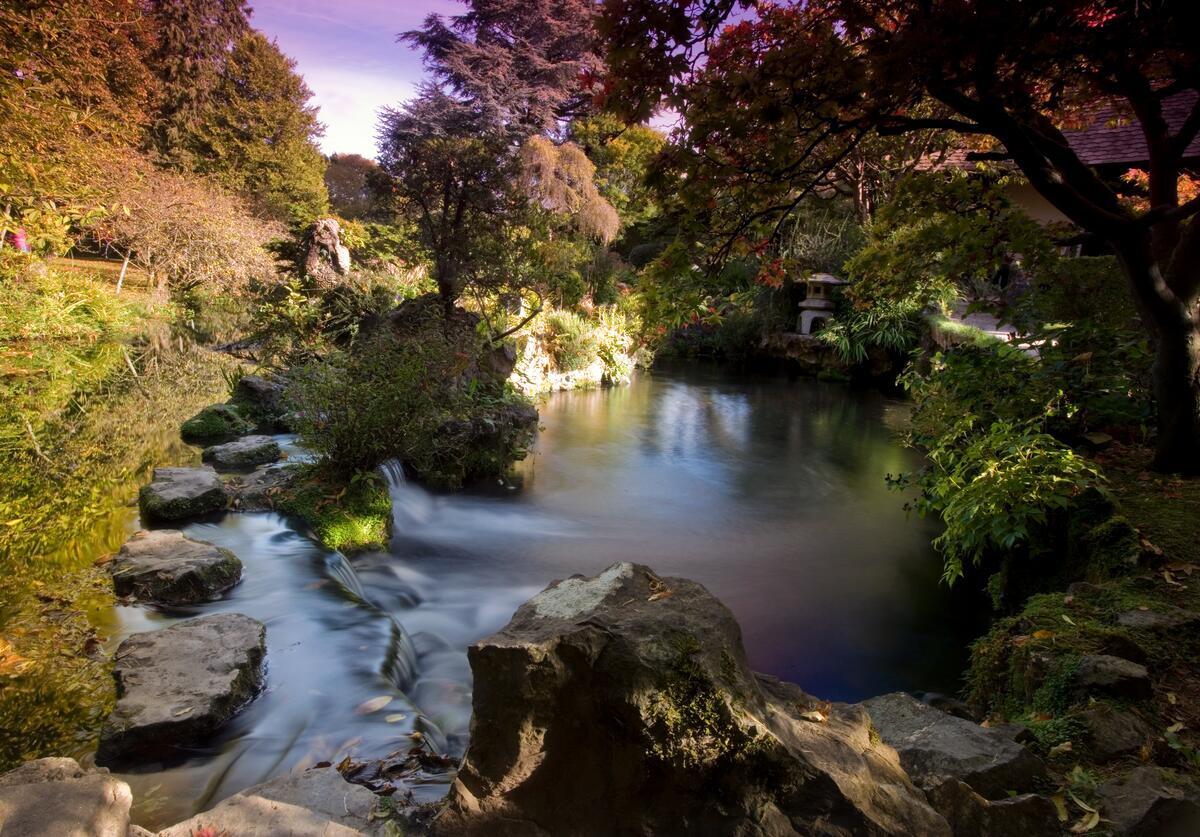 National Stud and Gardens, Co Kildare