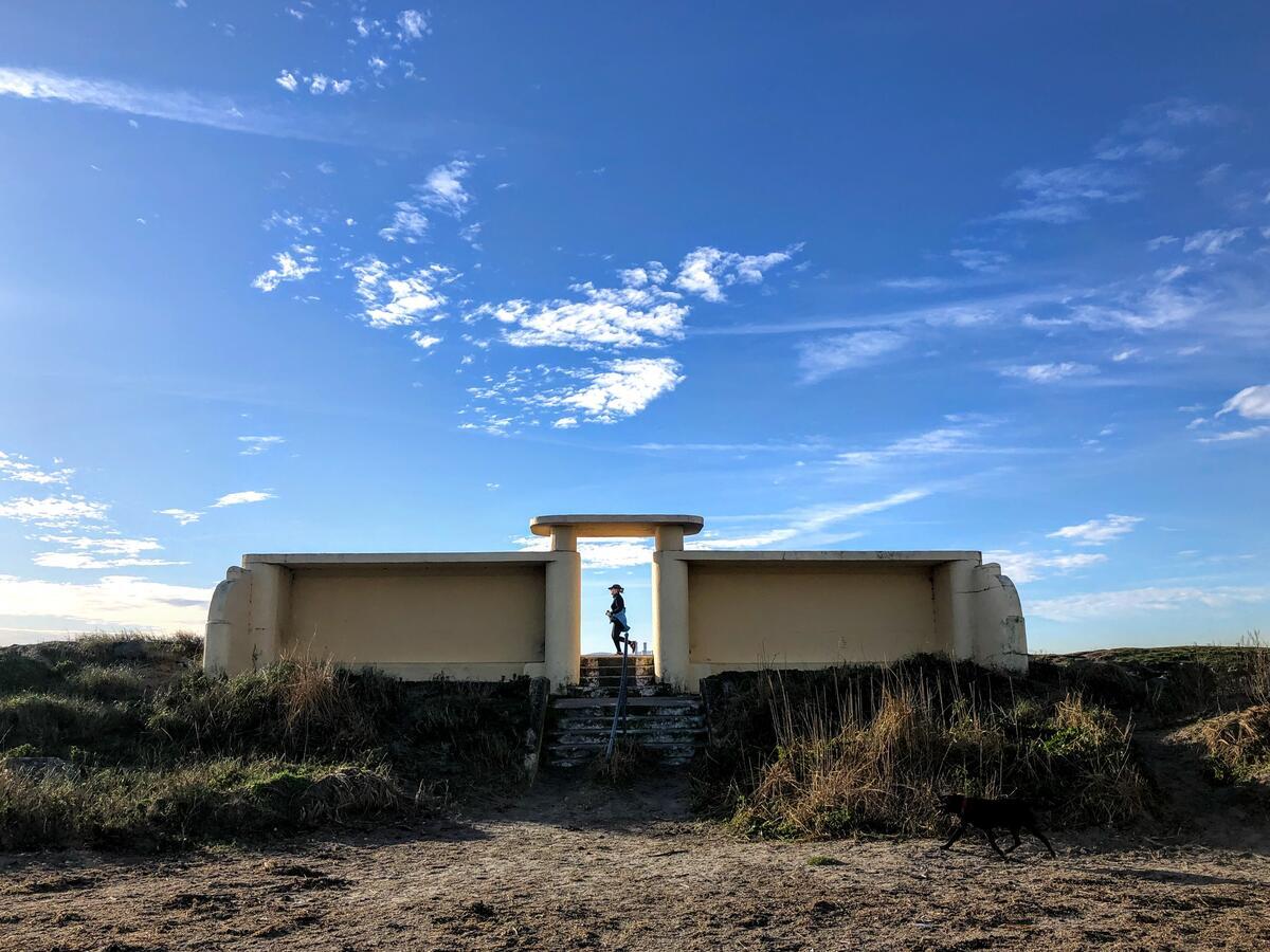 North Bull Island, Co Dublin