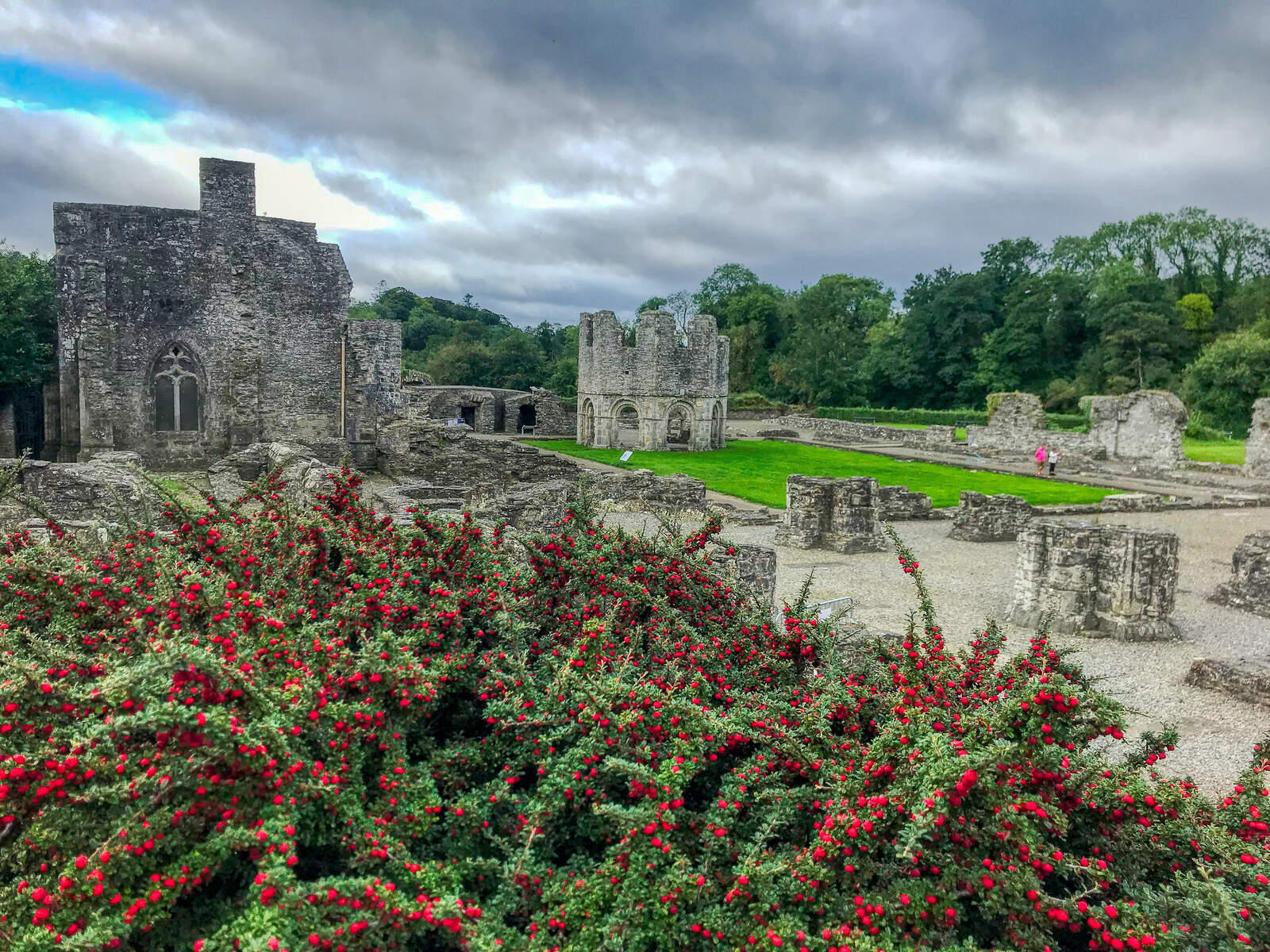 Old Mellifont Abbey, Tullyallen, Co Louth