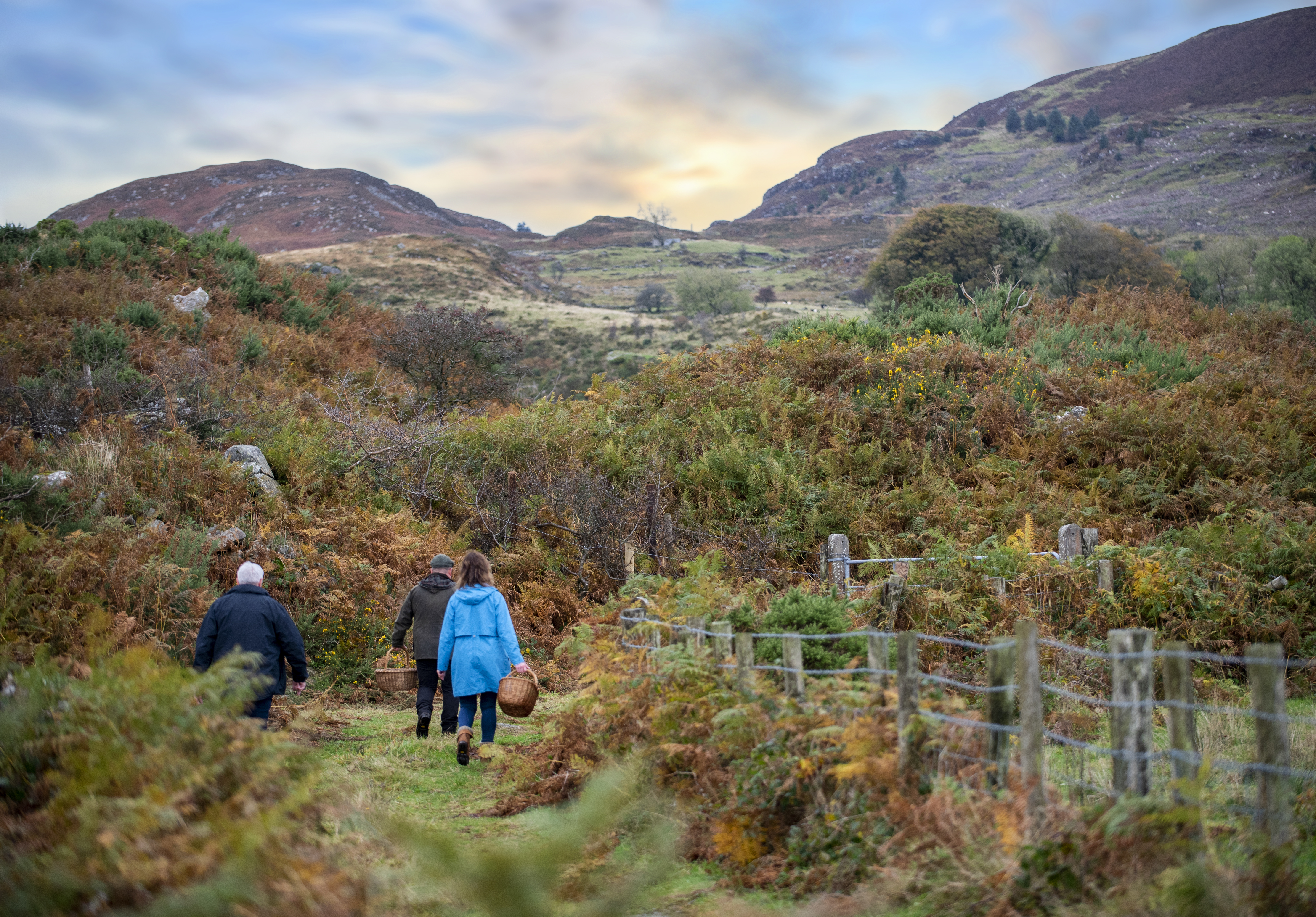 Discover Dromintee – Gateway to the Ring of Gullion