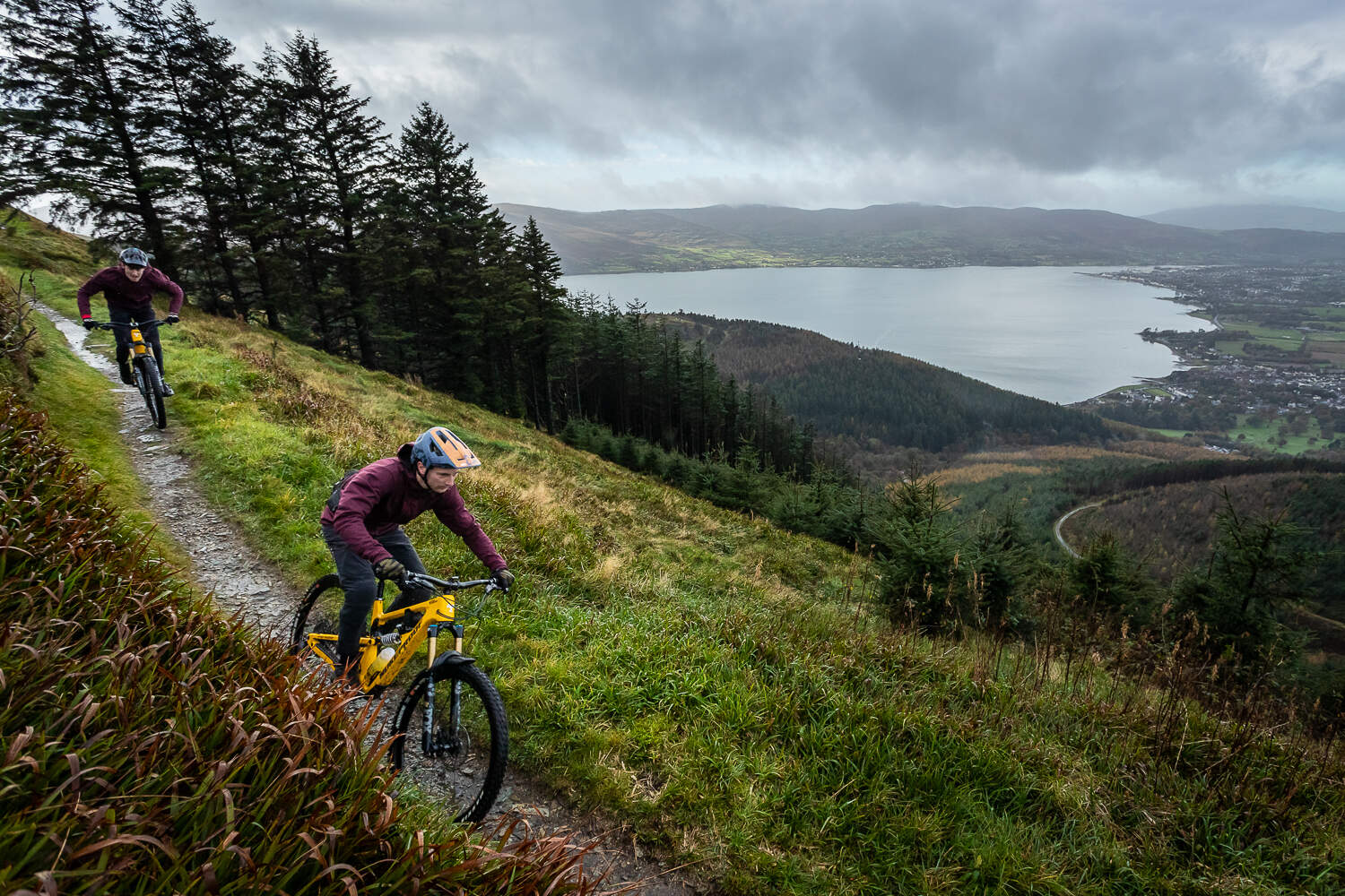 Rostrevor Mountain Bike Trail, Co. Down' Castlewellan Mountain Bike Trail, Co. Down