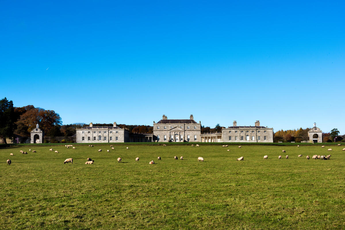 Blessington and its Lakes