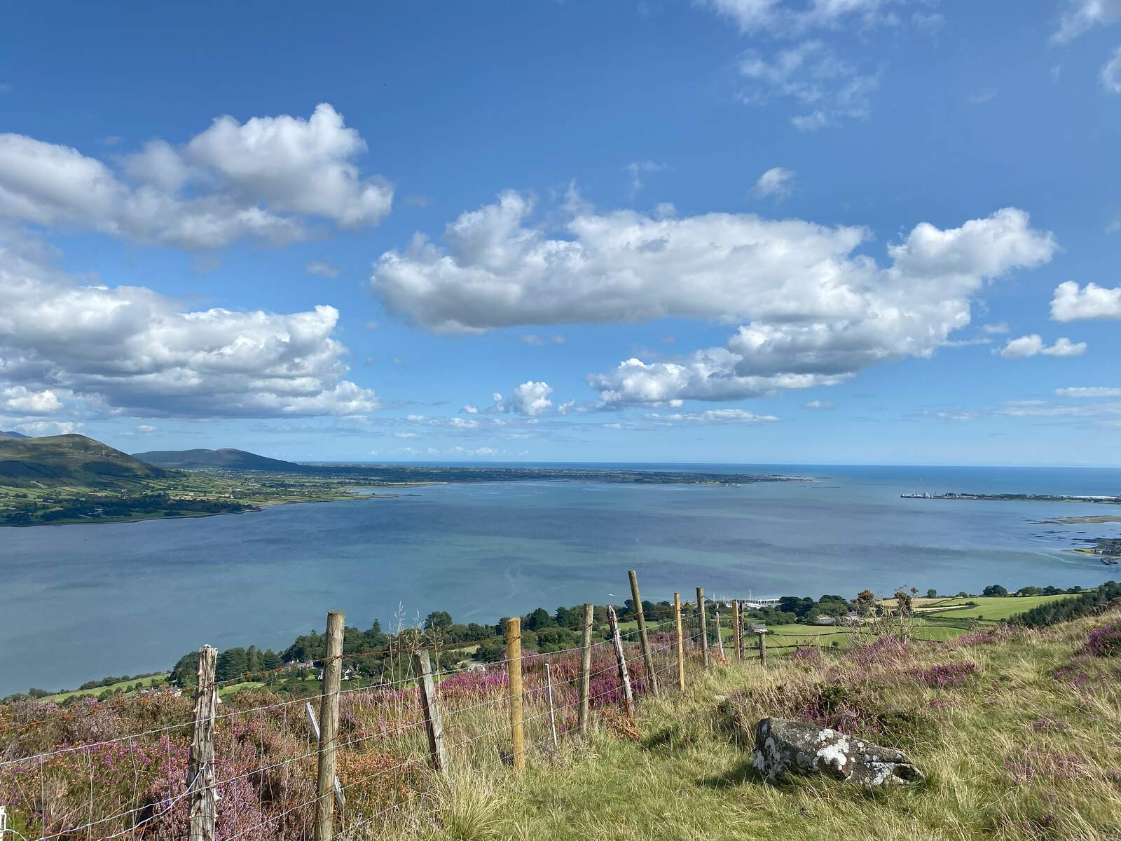 Slieve Foye, Carlingford, Co Louth