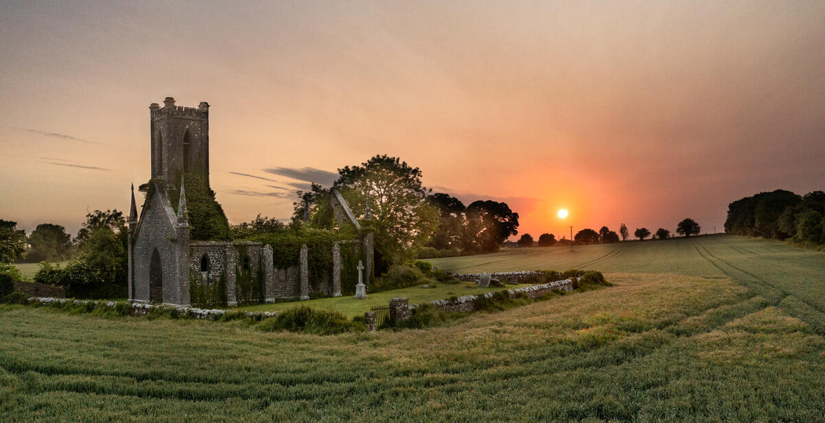 Ballynafagh Lake – A Wildfowl Sanctuary and Historic Reservoir in County Kildare