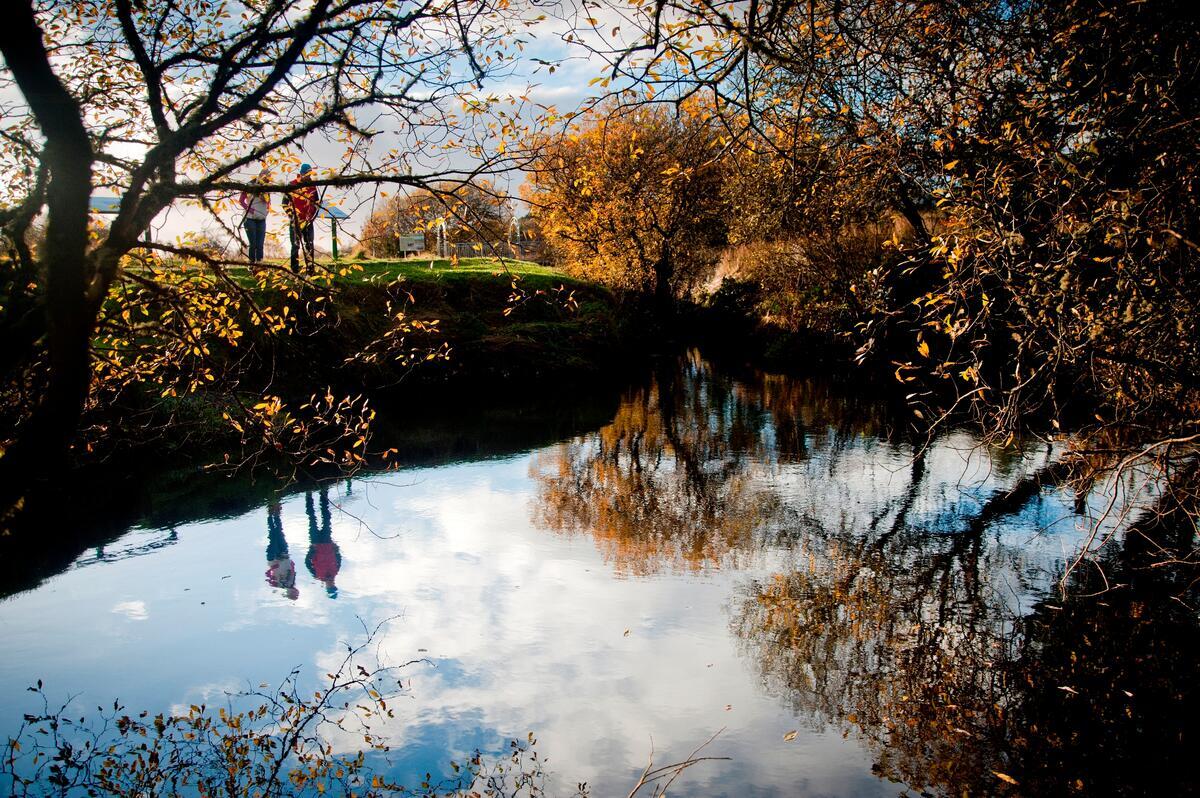 The Shannon Pot, Derrylahan, Cavan Way, Co Cavan