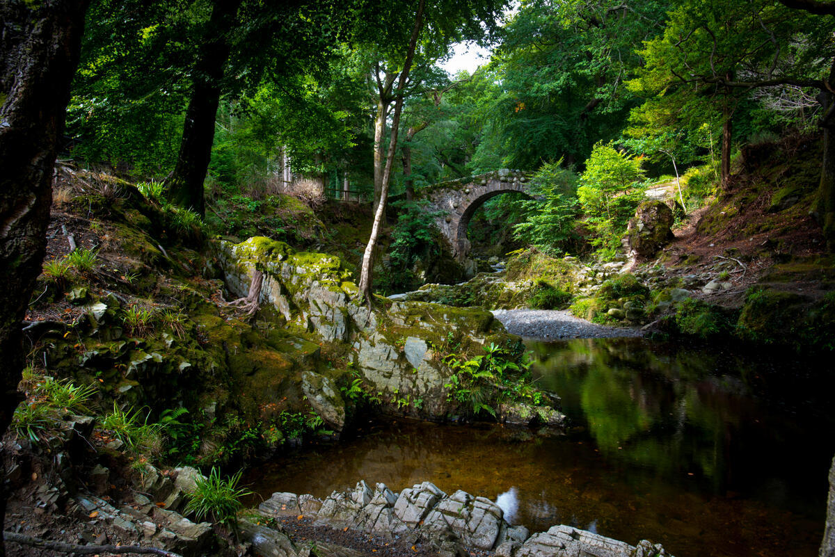 Tollymore Forset, Co. Down