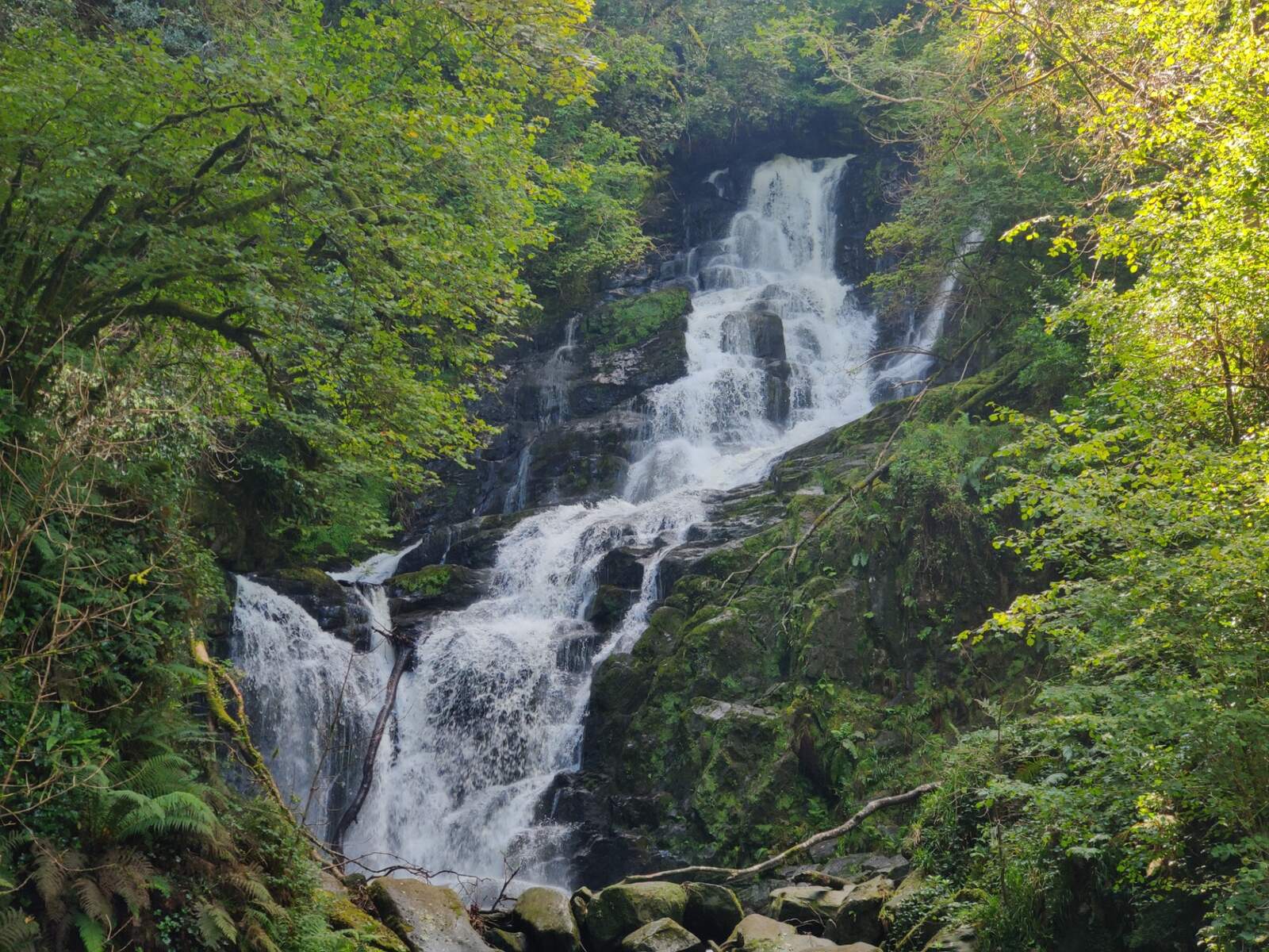 Torc Waterfall, Killarney National Park, Co Kerry