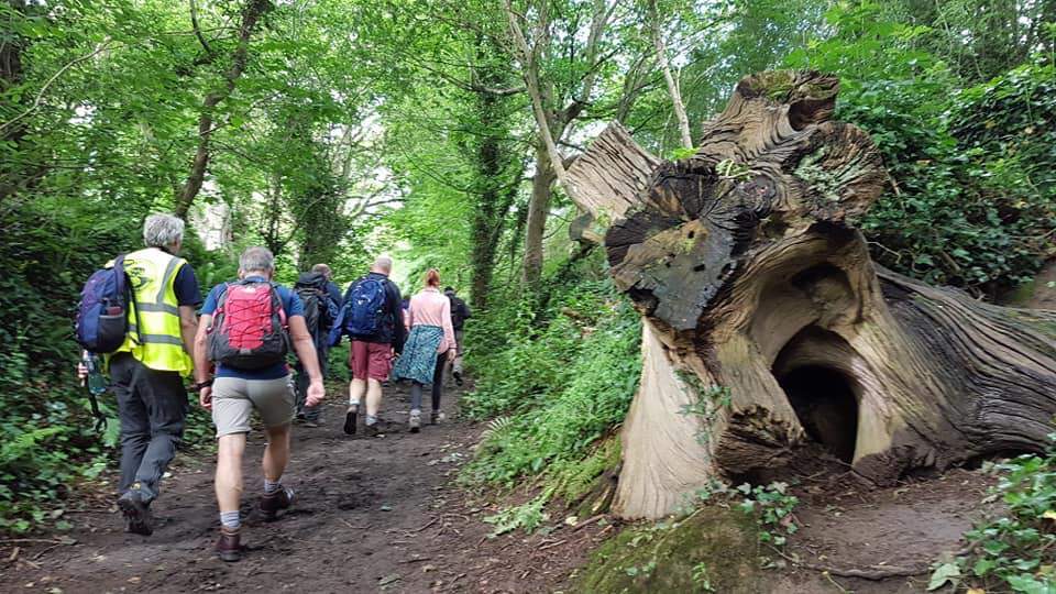 Townley Hall Woods