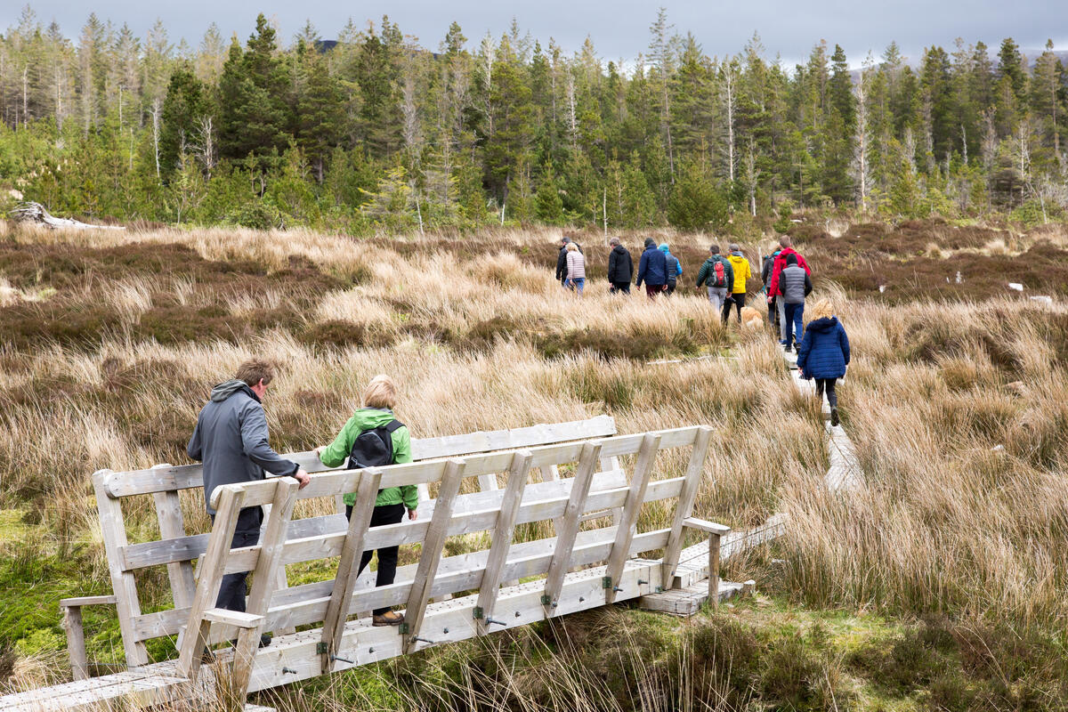 Wild Nephin National Park, Co Mayo