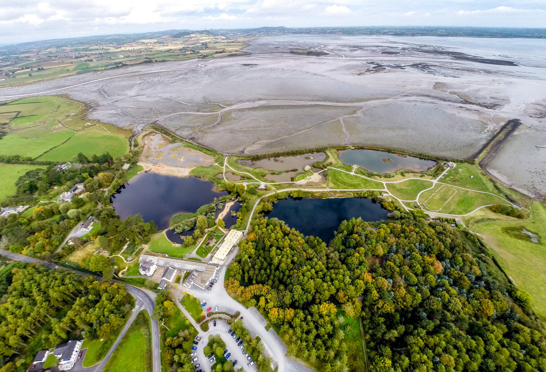 WWT Castle Espie, Comber, Co. Down